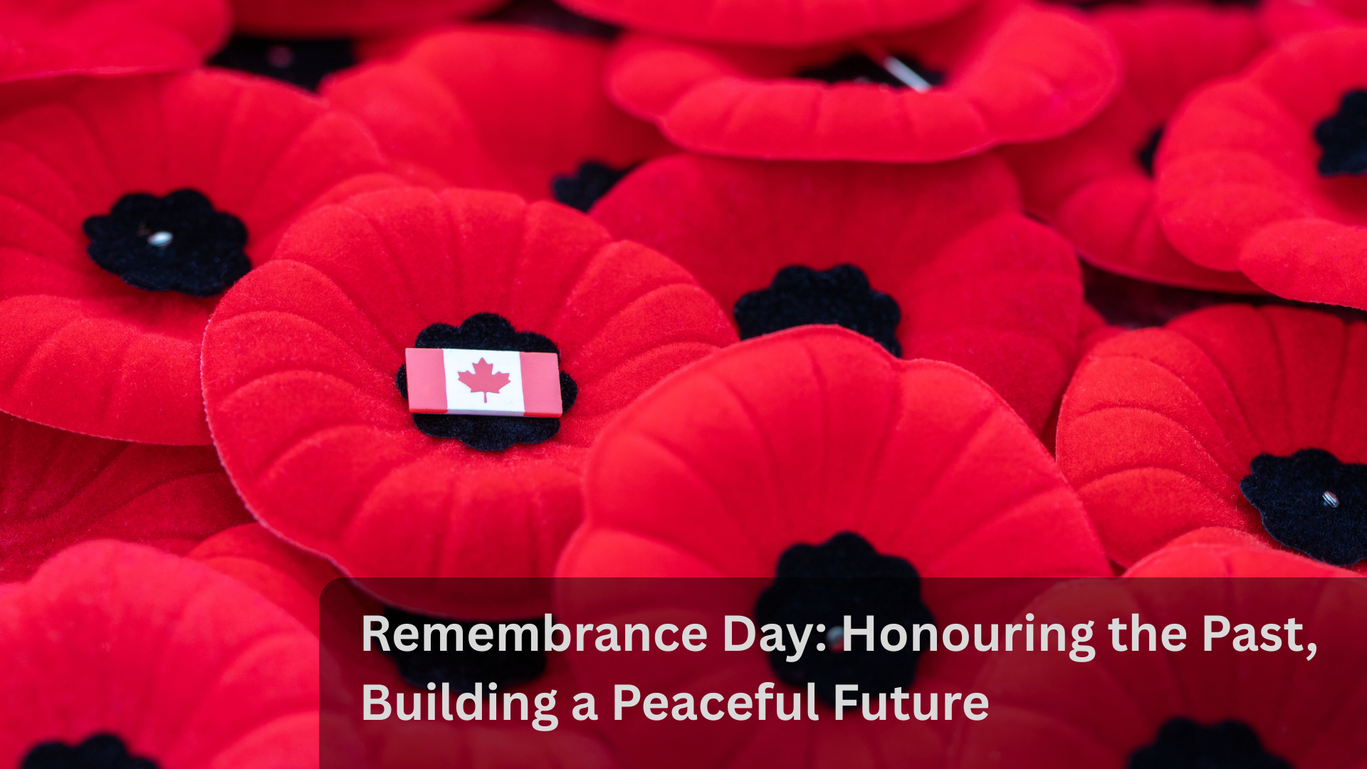 Remembrance Day: Honouring the Past, Building a Peaceful Future