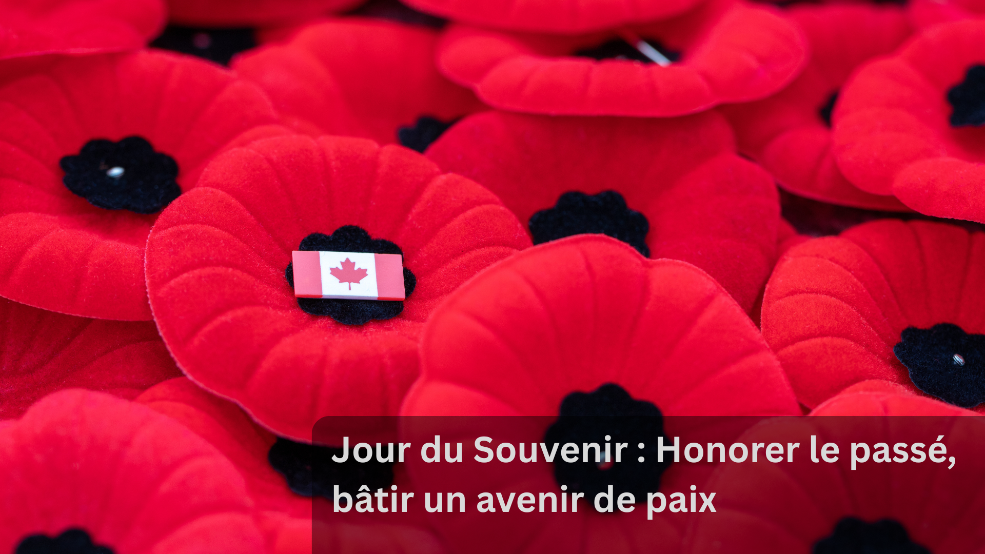 Jour du Souvenir : Honorer le passé, bâtir un avenir de paix